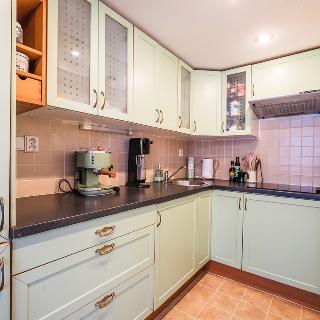 Pronájem bytu 1+kk a garsoniéry 38 m² Jílové u Prahy