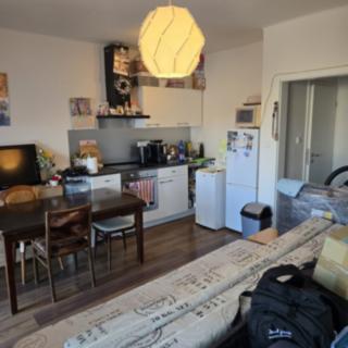 Prodej bytu 1+kk a garsoniéry 37 m² Jesenice