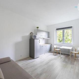 Prodej bytu 1+kk a garsoniéry 26 m² Praha, Na Skalce