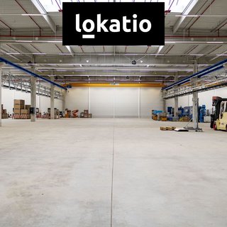 Pronájem skladu 12 026 m² Aš, Skandinávská