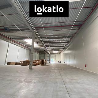 Pronájem skladu 1589 m&sup2; Ostrava