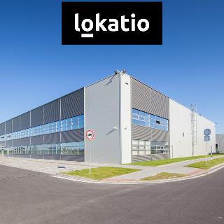 Pronájem skladu 56 600 m² Horní Tošanovice, 