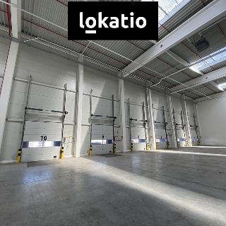 Pronájem skladu 5 195 m² Ostrava, 