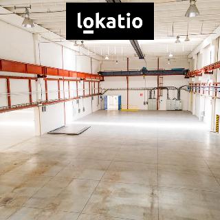 Pronájem skladu 2 200 m² Hořice, 