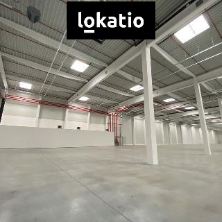 Pronájem skladu 10 275 m² Ostrava, 