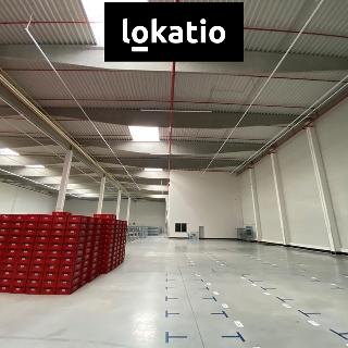 Pronájem skladu 4 479 m² Olomouc, 