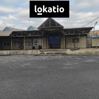 Pronájem skladu 4 000 m² Žatec, 