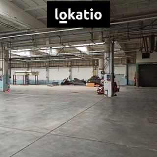 Pronájem skladu 3 353 m² Jihlava, 