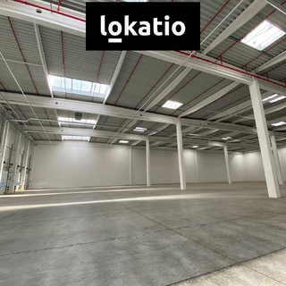 Pronájem skladu 5 195 m² Ostrava, 