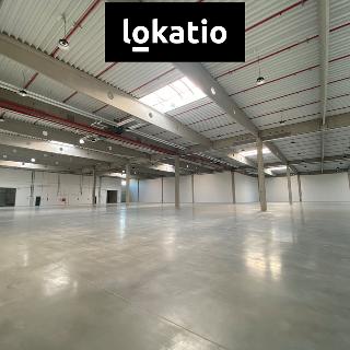 Pronájem skladu 5 200 m² Mikulov, 