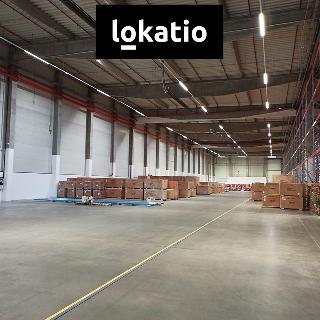 Pronájem skladu 3 700 m² Štěnovice, 