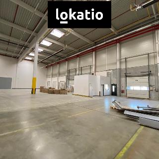 Pronájem skladu 7 587 m² Olomouc, 