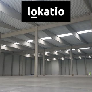 Pronájem skladu 18 500 m² Přimda, 