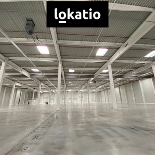 Pronájem skladu 4 323 m² Ostrava, 