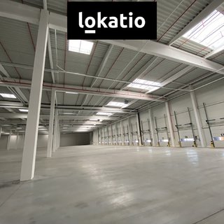 Pronájem skladu 10 275 m² Ostrava, 