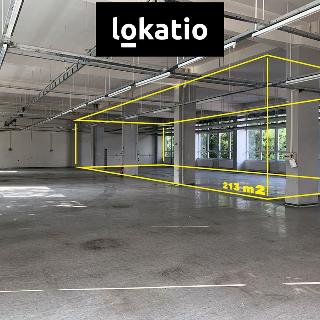 Pronájem skladu 213 m² Praha, Naskové