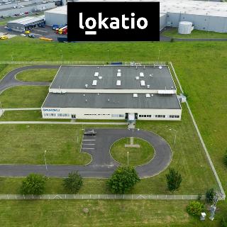 Pronájem skladu 3 539 m² Lovosice, Průmyslová