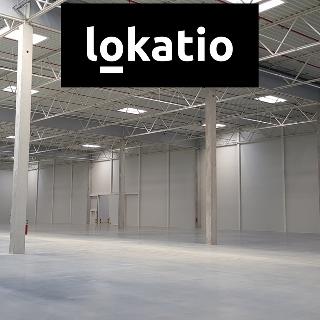 Pronájem skladu 4 500 m² Jirkov, 