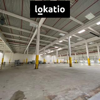 Pronájem skladu 7 587 m² Olomouc, 