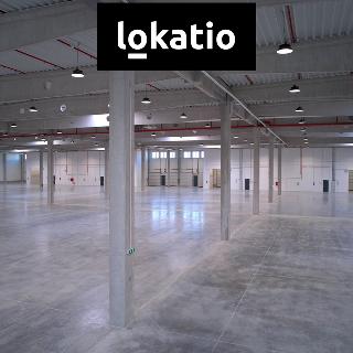 Pronájem výrobního objektu 13 200 m² Mikulov, 