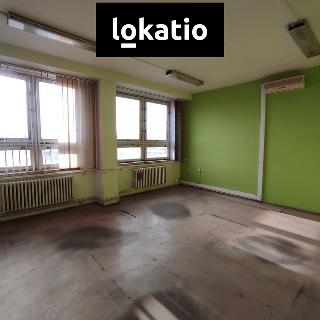 Pronájem skladu 34 m² Pardubice, 