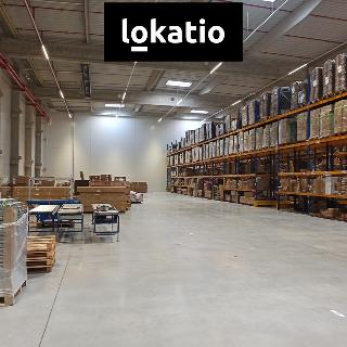 Pronájem skladu 700 m² Ostrov, 