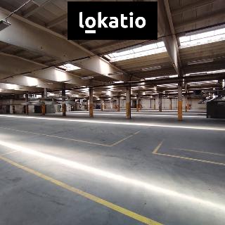 Pronájem skladu 3 903 m² Litoměřice, Želetická