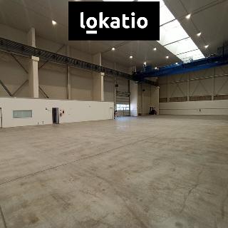 Pronájem skladu 1 380 m² Plzeň, 