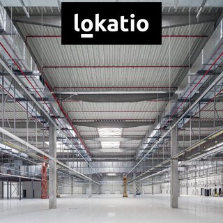 Pronájem skladu 5 000 m² Ostrava, 