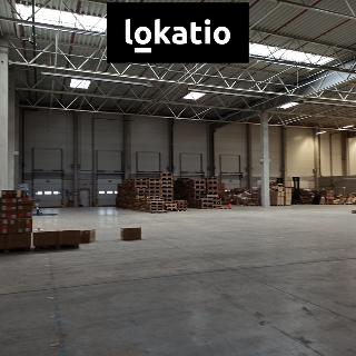 Pronájem skladu 1 000 m² Pavlov, Logistická