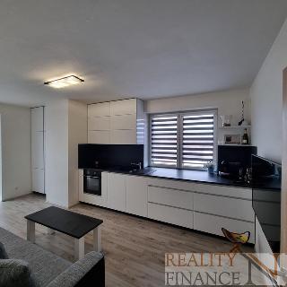 Pronájem bytu 2+kk 43 m² Plzeň, Poděbradova