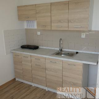 Pronájem bytu 1+1 36 m² Plzeň, Kralovická