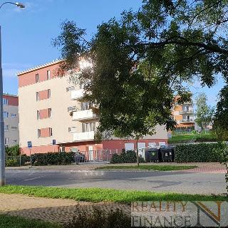 Pronájem bytu 2+kk 60 m² Plzeň, Slupská