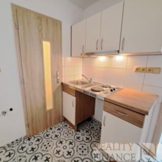 Pronájem bytu 1+kk a garsoniéry 21 m² Plzeň Jižní Předměstí, U Borského parku