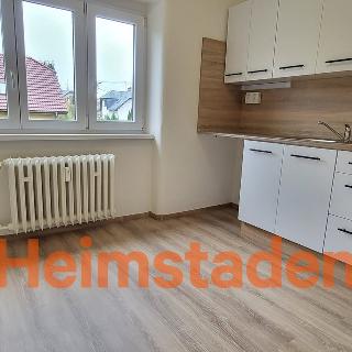 Pronájem bytu 2+1 52 m² Havířov, Budovatelů