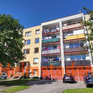 Pronájem bytu 1+1 37 m² Albrechtice, Hornická