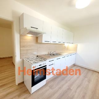 Pronájem bytu 2+1 56 m² Albrechtice, Kostelní