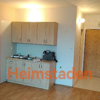 Pronájem bytu 1+kk a garsoniéry 21 m² Frýdek-Místek, Nad Mostárnou