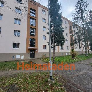 Pronájem bytu 2+1 55 m² Karviná, Školská