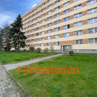 Pronájem bytu 1+kk, garsoniery 30 m² Karviná