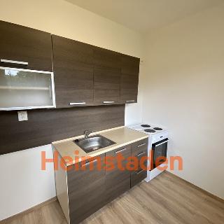 Pronájem bytu 2+1 53 m² Havířov, Bludovická