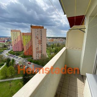 Pronájem bytu 3+1 77 m² Ostrava, Cholevova