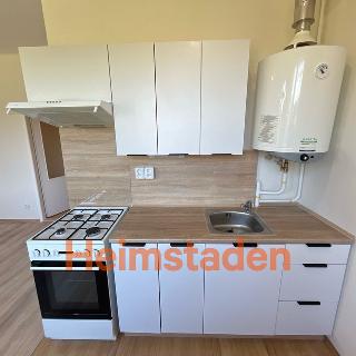 Pronájem bytu 1+1 27 m² Havířov, Na Michalůvce