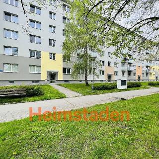 Pronájem bytu 1+kk a garsoniéry 23 m² Ostrava, Francouzská