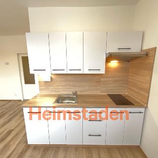 Pronájem bytu 1+1 27 m² Havířov, Na Michalůvce