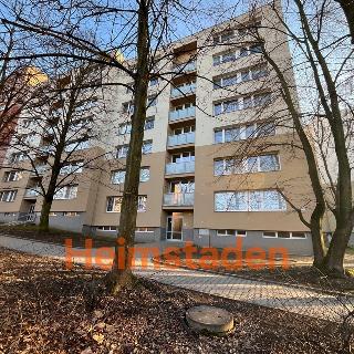 Pronájem bytu 1+1 37 m² Frýdek-Místek, K Hájku