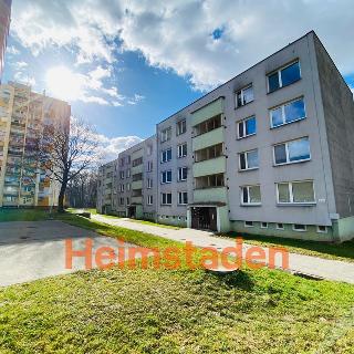 Pronájem bytu 1+1 37 m² Ostrava, Lužická