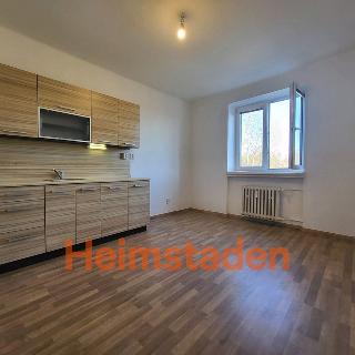 Pronájem bytu 1+1 43 m² Havířov, U Stromovky