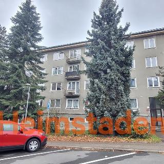 Pronájem bytu 2+1 49 m² Havířov, Beskydská