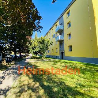 Pronájem bytu 2+1 50 m² Ostrava, Svazácká